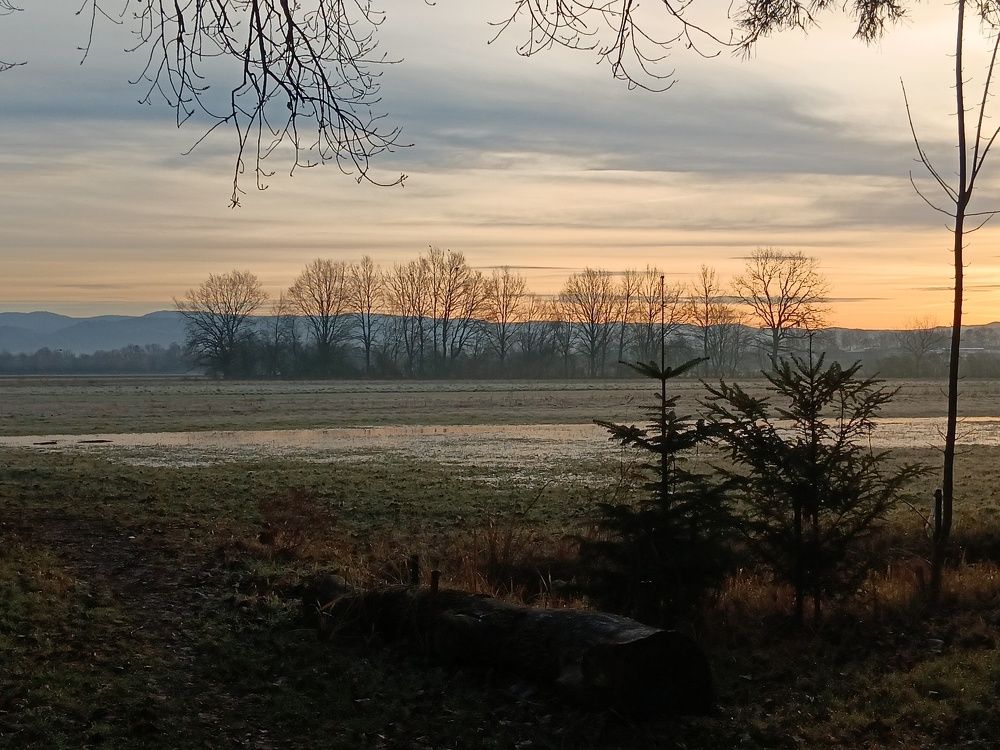 Photo #11516842