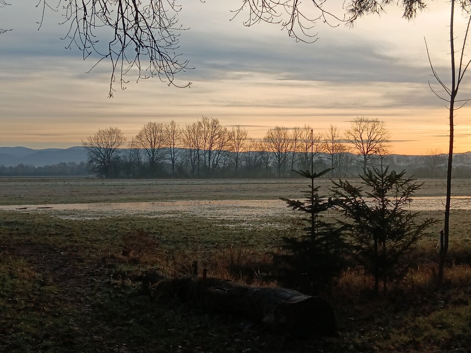 Photo #11516842