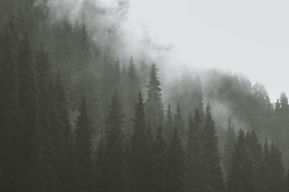 Photograph by Roman Chehovskoy