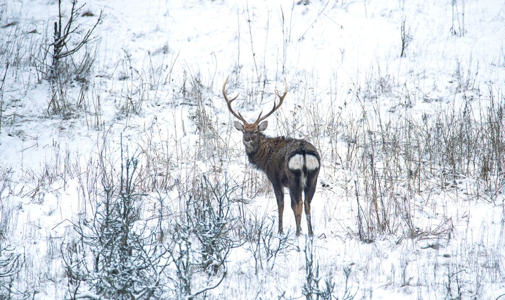 Photograph by Федорако Дмитрий