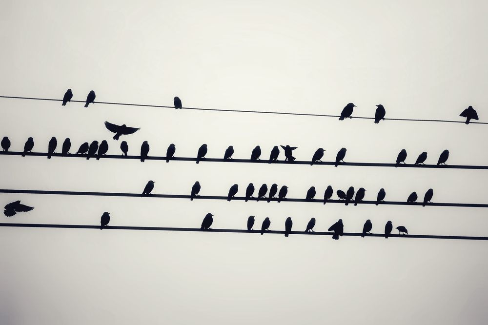 Фотография автора Washiful Majid