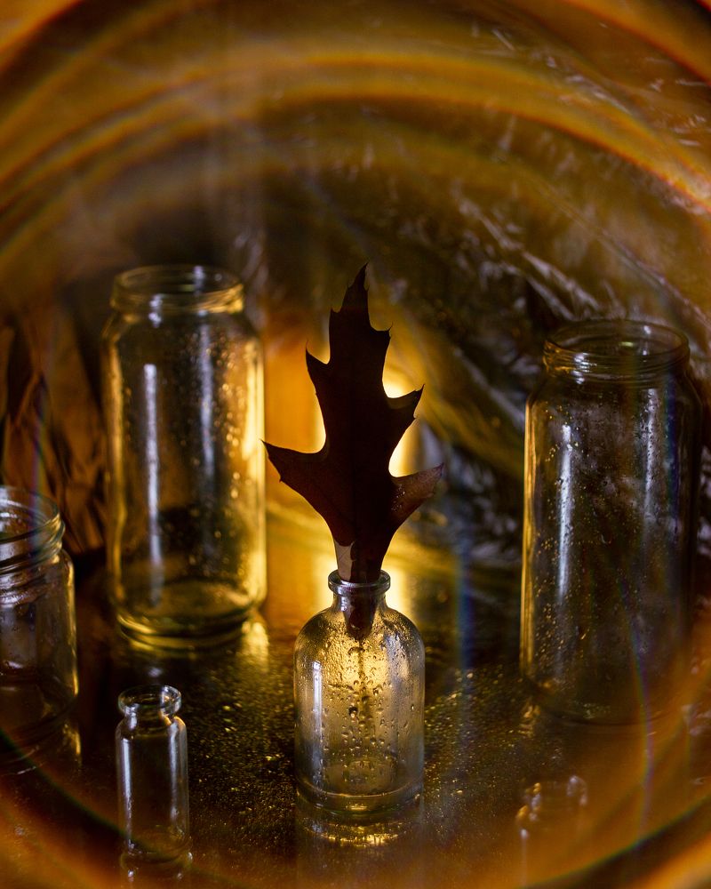 осенний натюрморт