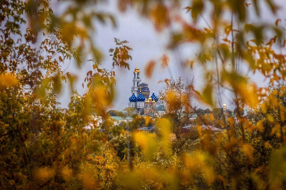 обнаружить