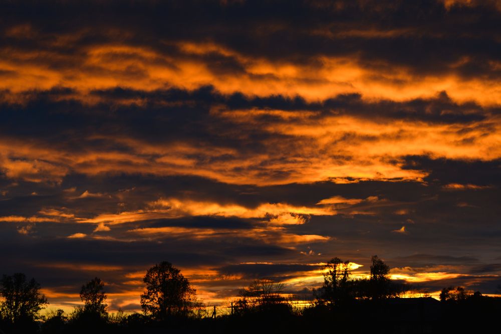 Photograph by Анастасия Гурова