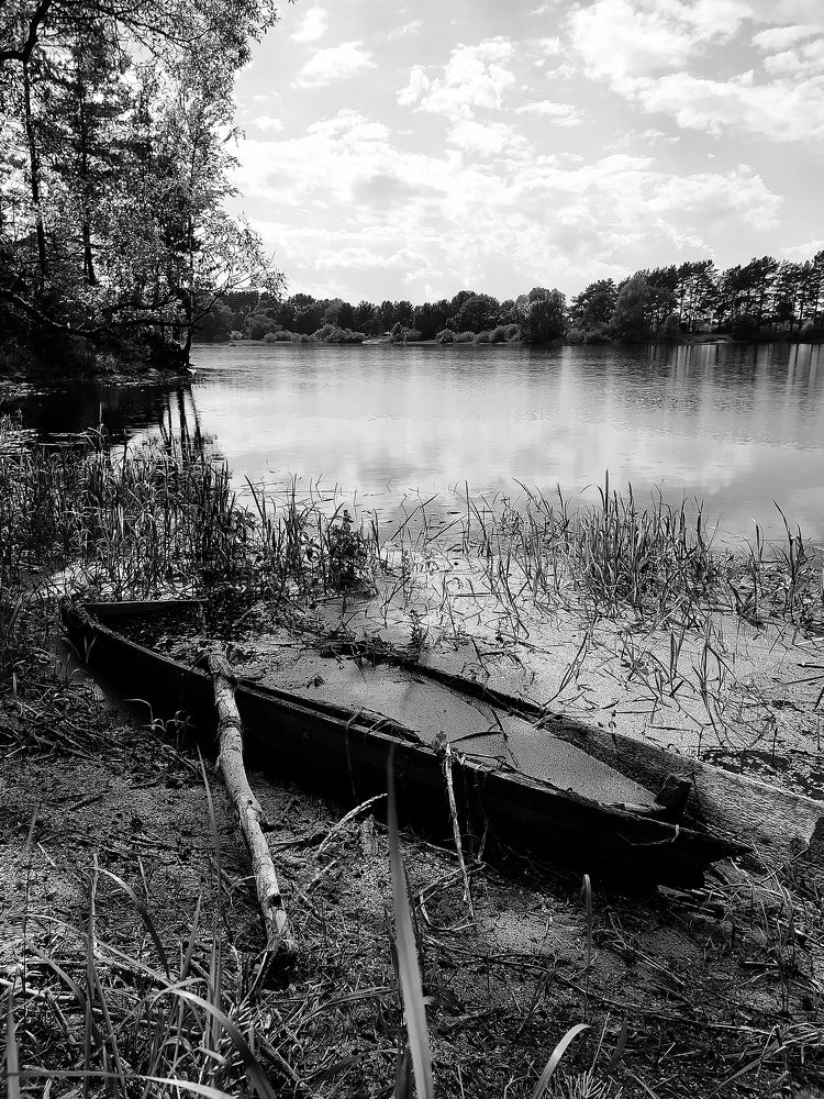 Photograph by Кристина Кердянова
