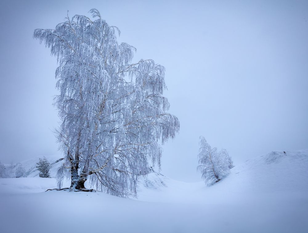 Photograph by Сильва Татьяна