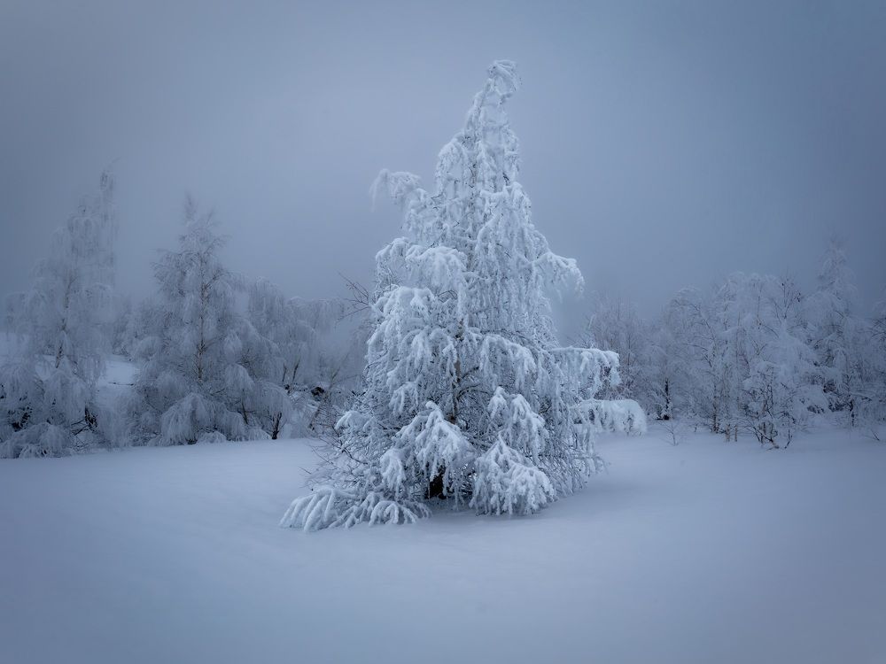 Photograph by Сильва Татьяна