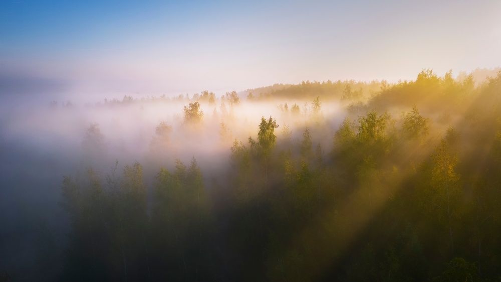 Photograph by Сильва Татьяна