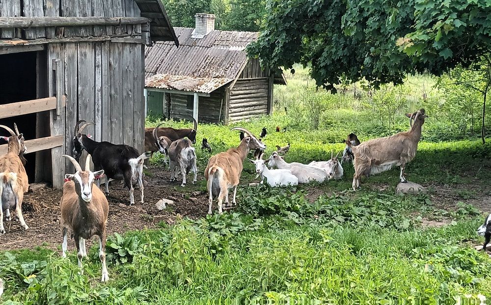 Photograph by Инна Демкив