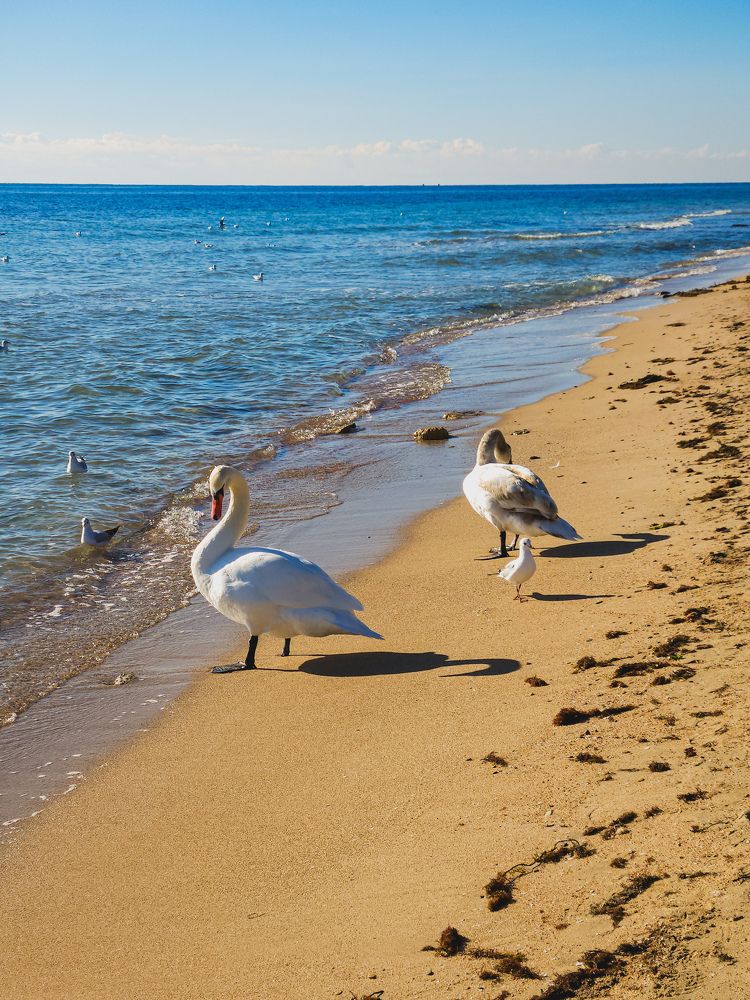 Photograph by ELENA KRYLOVA