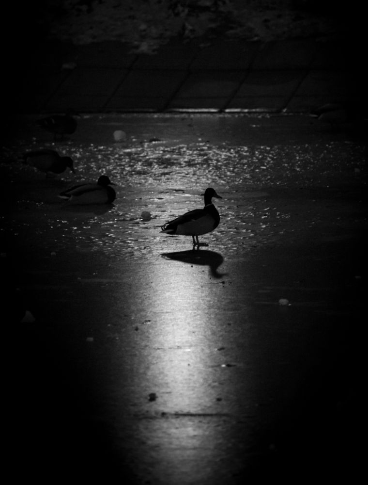 Photograph by Павел Соснин