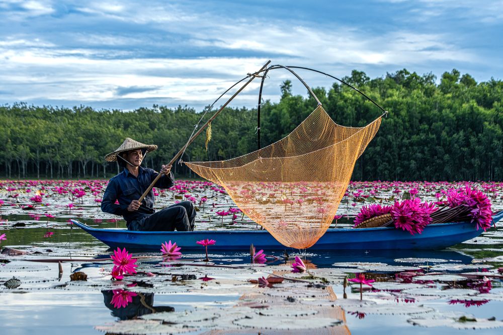 Photograph by Giang Nguyen Thi Tuyet