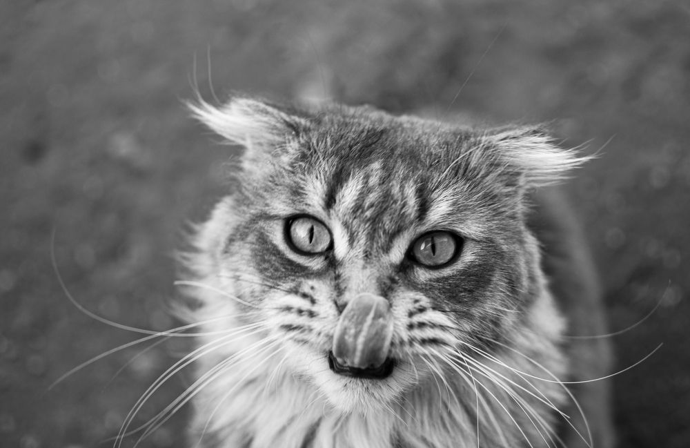 Photograph by Павел Соснин