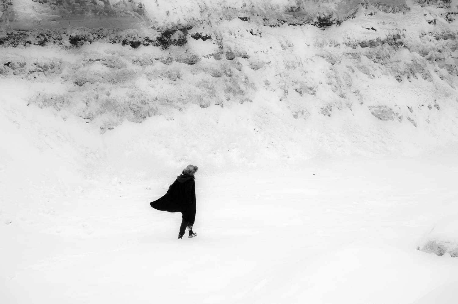 Photo #11517093