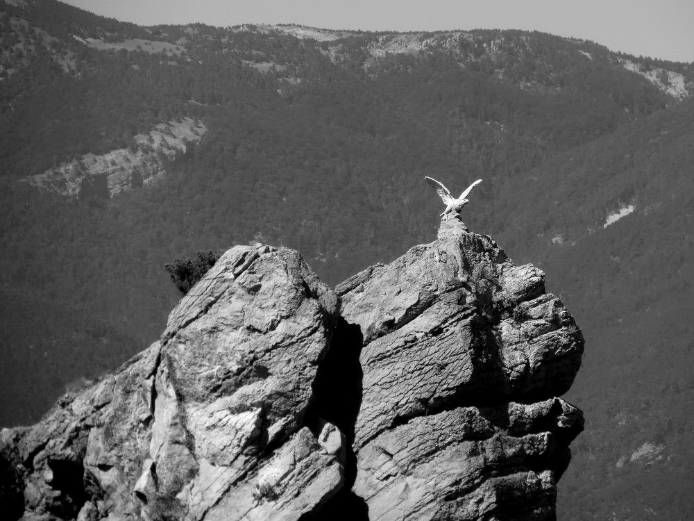 Photograph by Татьяна Стаскевич