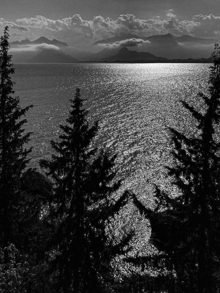 Фотография автора Марина Булатова