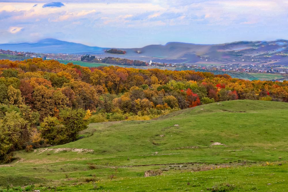 Photograph by Grădinaru Catalin