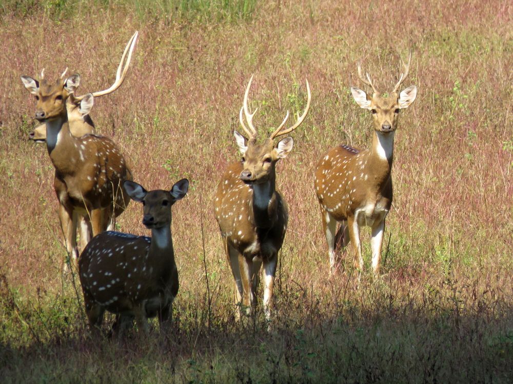 Photograph by SUCCESS LOVER