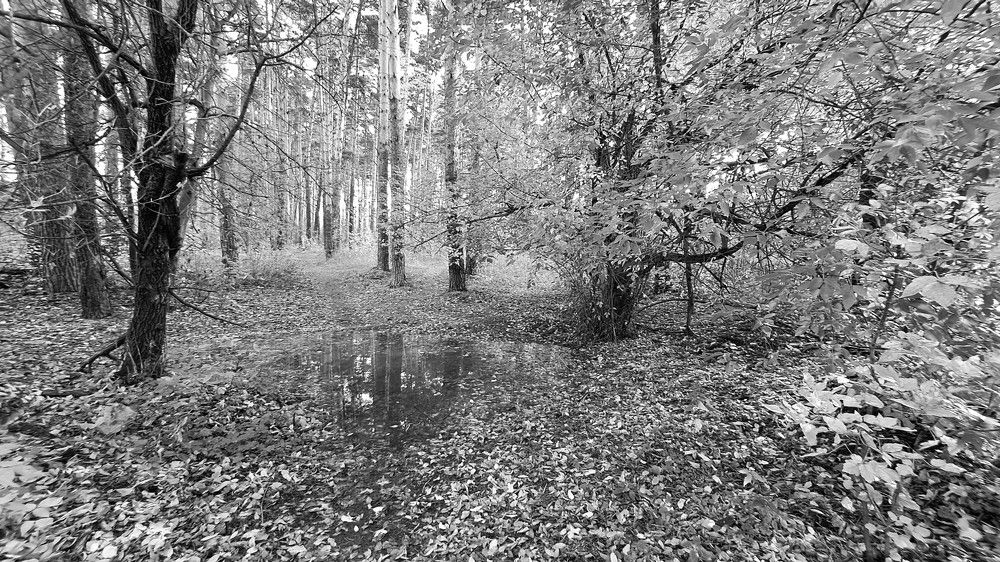 Photograph by Николай Худяков