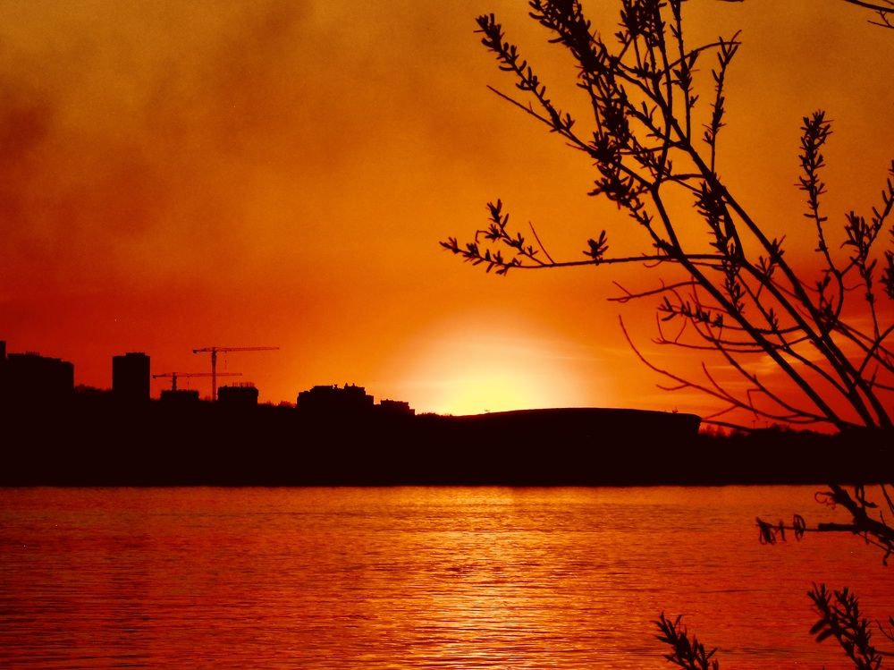 Photograph by Татьяна Шитлина