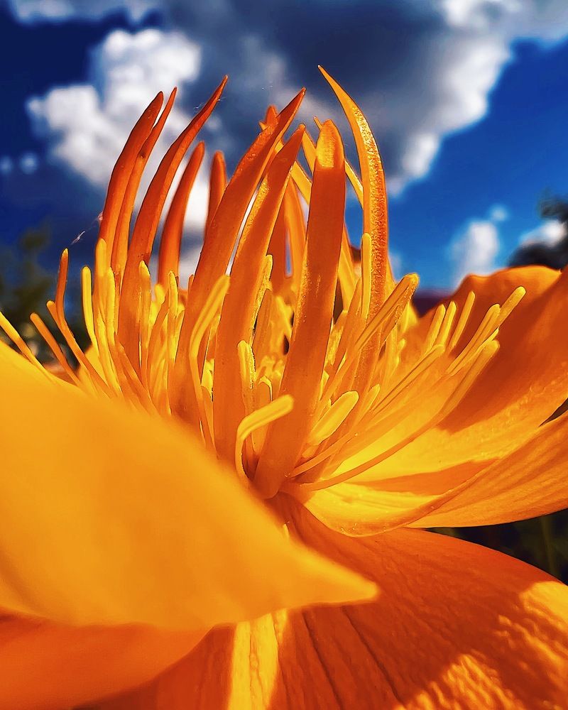 Photograph by Татьяна Волохова