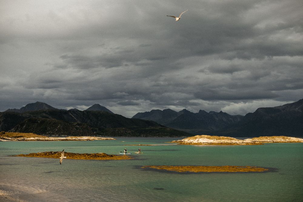 Photograph by Alexandra Vasina