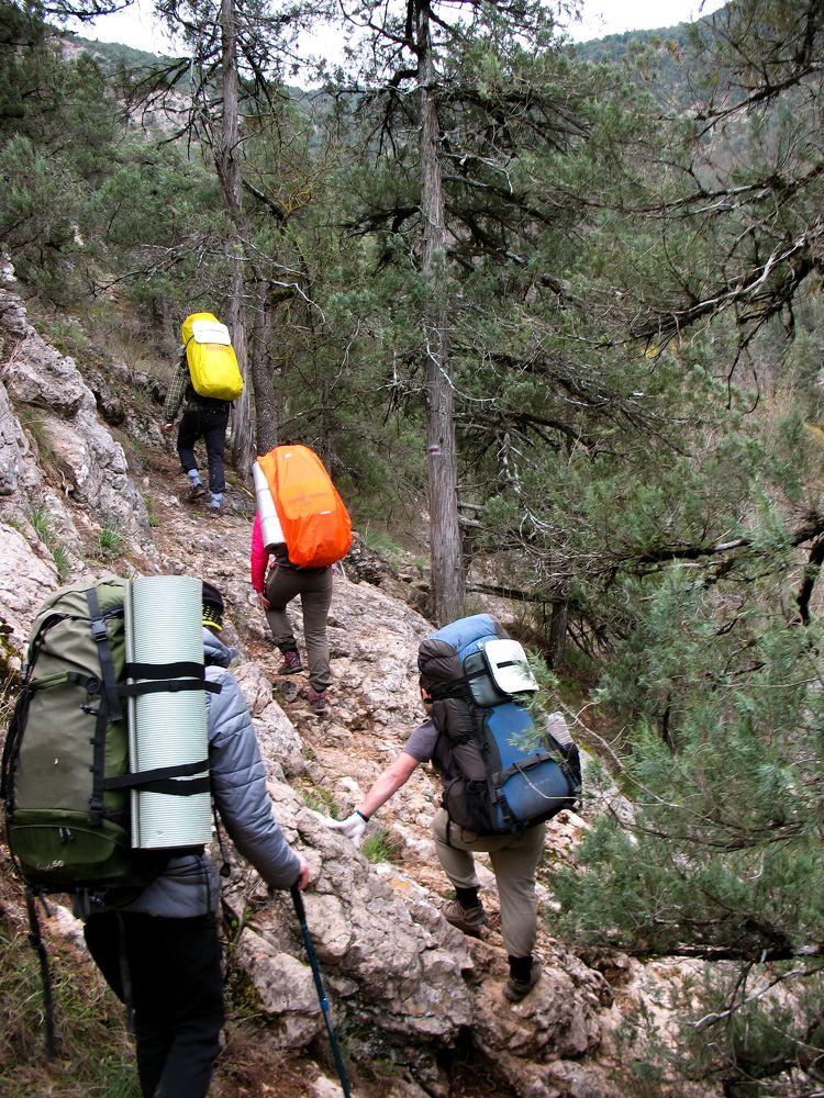 Photograph by Дарья Беляева