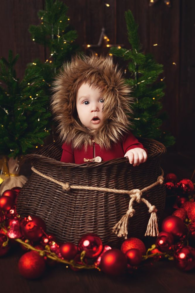 Фотография автора Ману Фалько