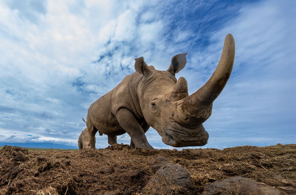 Фотография автора Suneer Mohamed