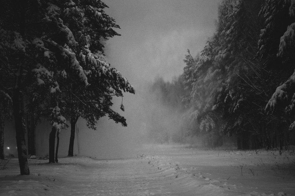 Photograph by Юлия Горбунова