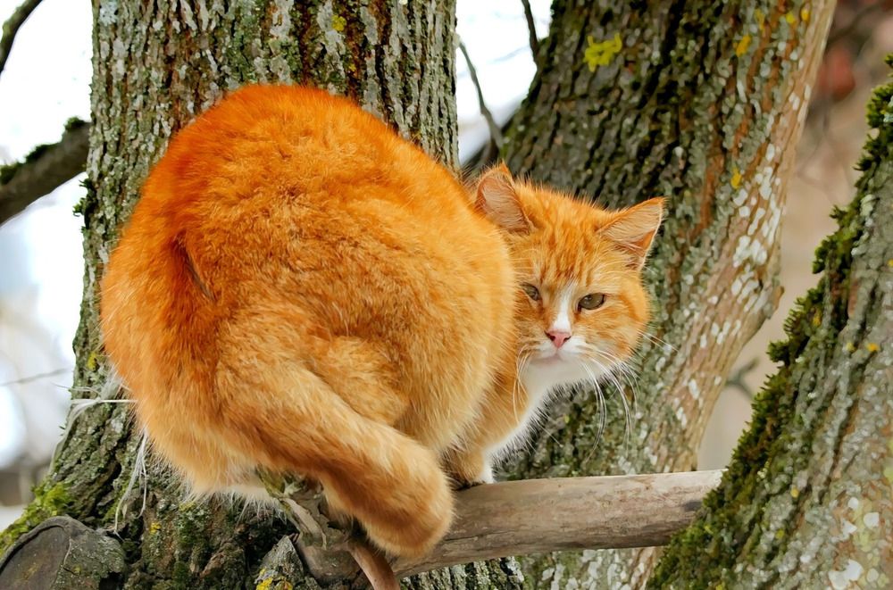 Photograph by Татьяна Слесарева