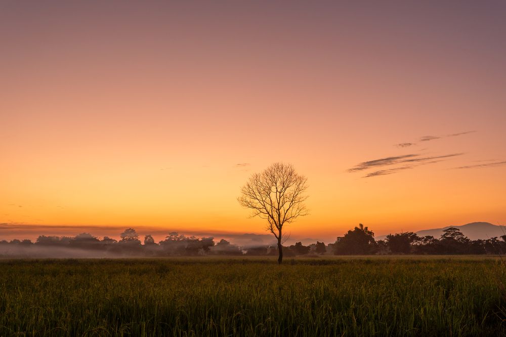 Photograph by Khirud Borah