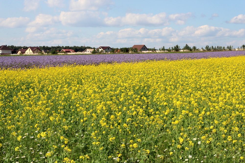 Photograph by Герасимов Игорь