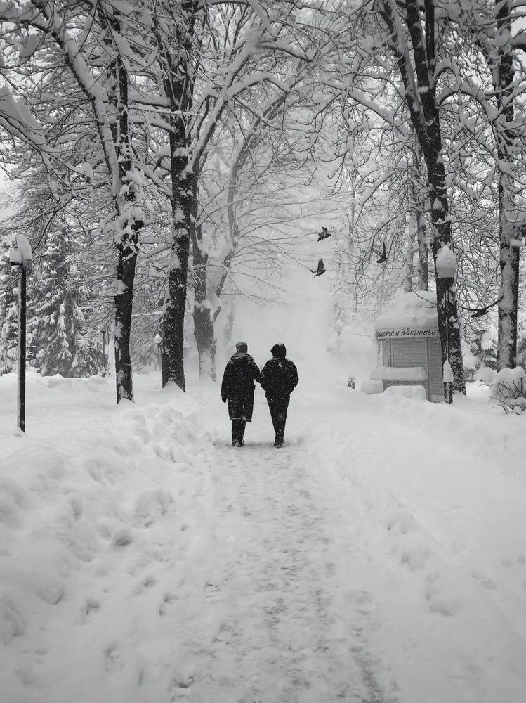 Photograph by Татьяна Семёнова