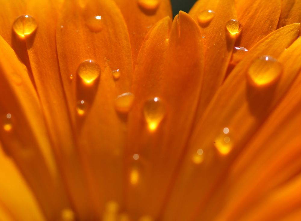 Photograph by Татьяна