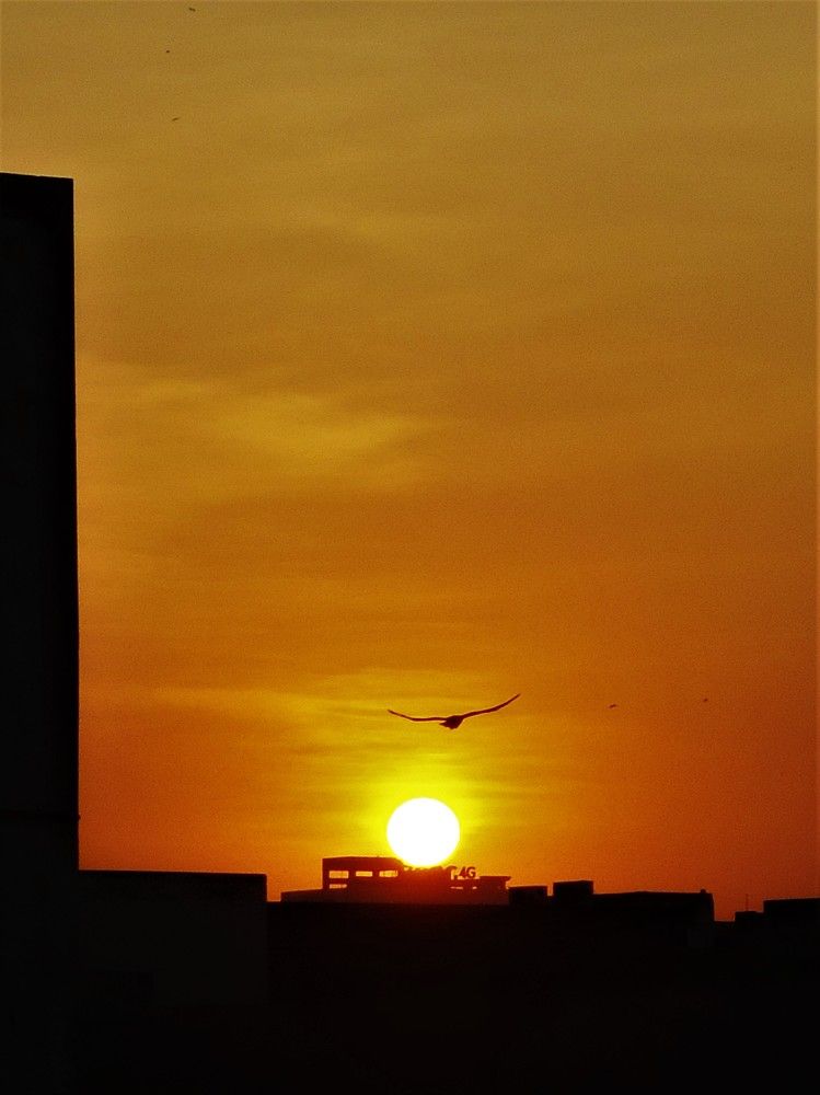 Photograph by Shahzad