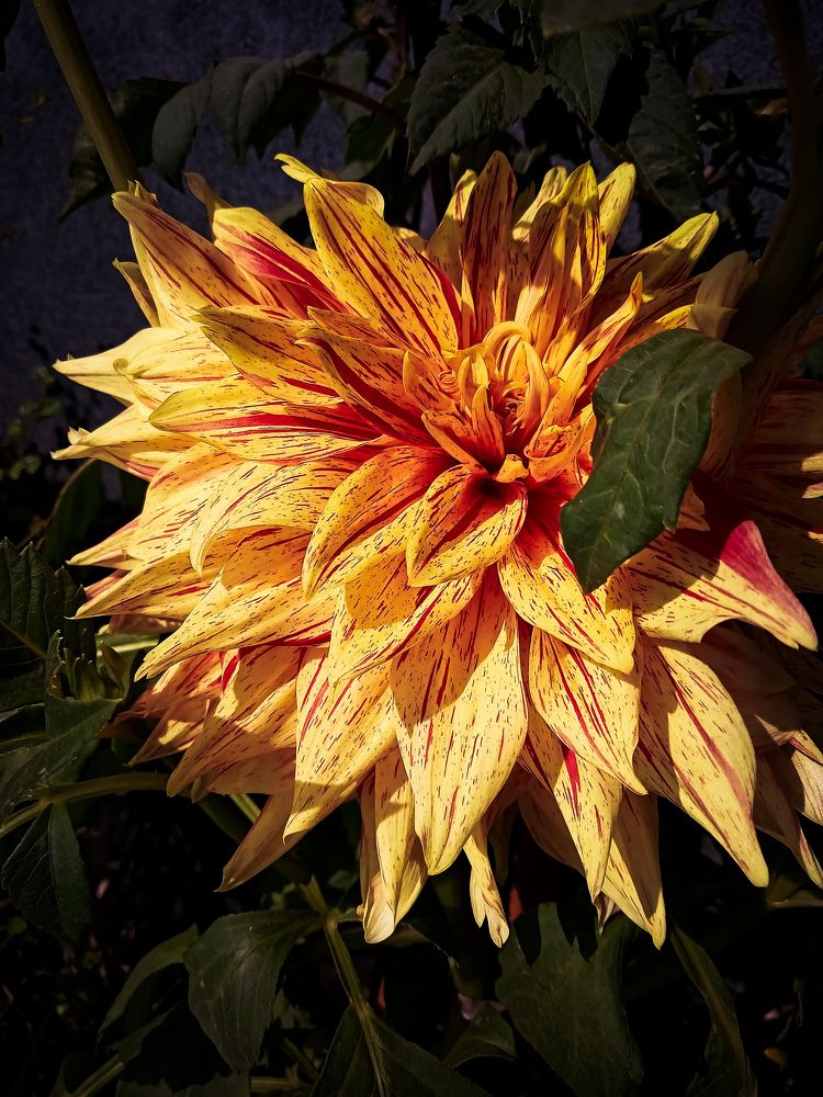 Photograph by Shahzad