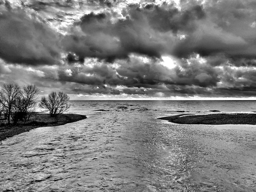 Photograph by AlexaL