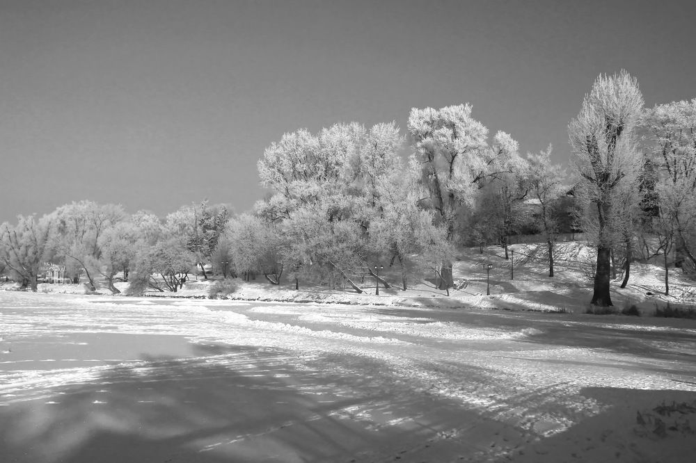 Фотография автора Сергей Кульков