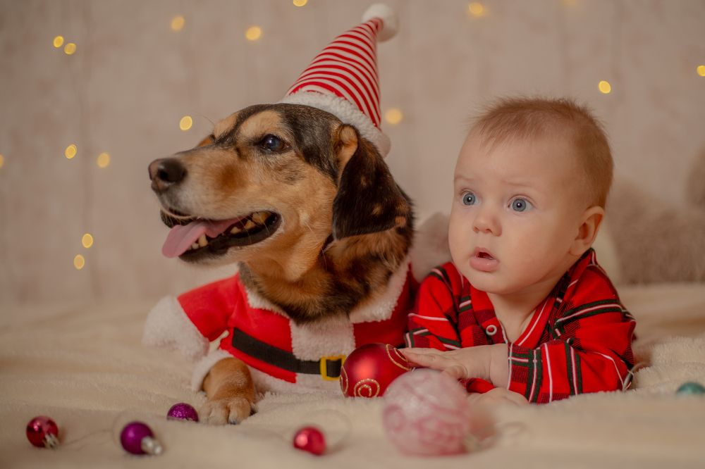 Photograph by Andrey Mironov