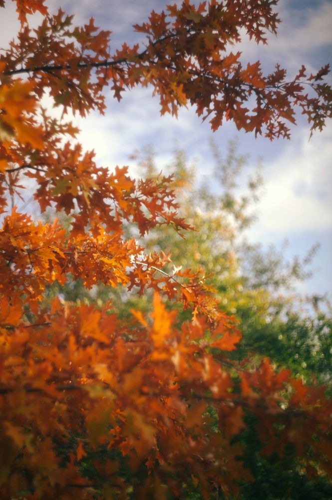 Фотография автора Константин Курузбавер