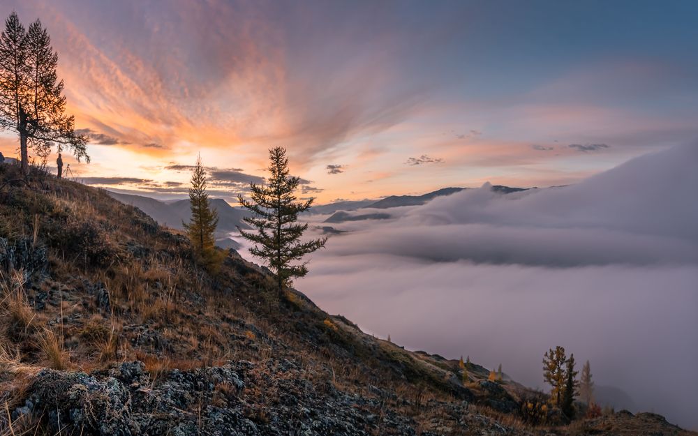 Photograph by Devender Mark