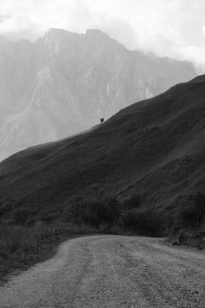 Photograph by Станислав Ветренко