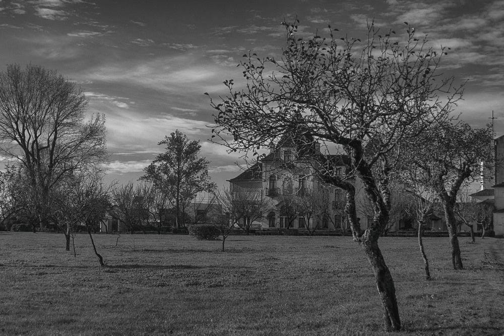 Photograph by Joaquim Aurélio Silva Rodrigues