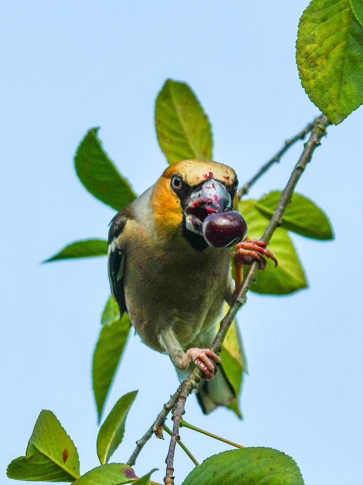 Фотография автора Наталья Бачуринская