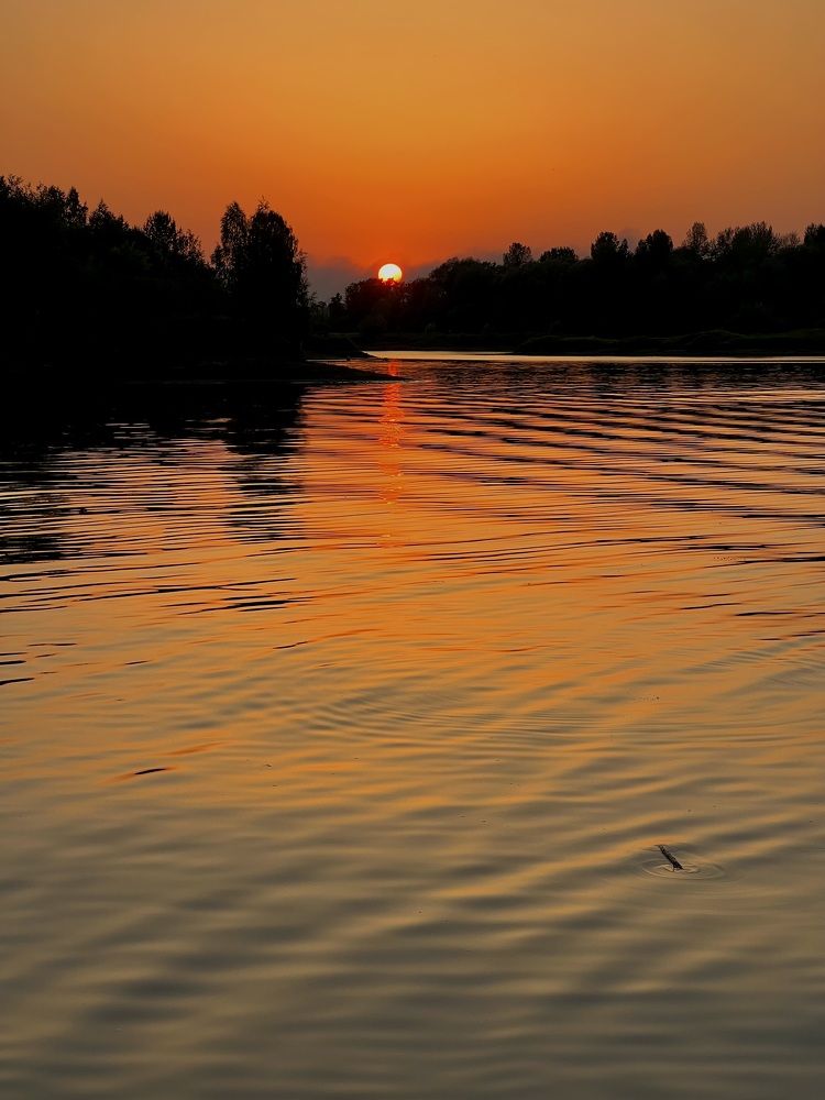 Photograph by Анастасия Конина