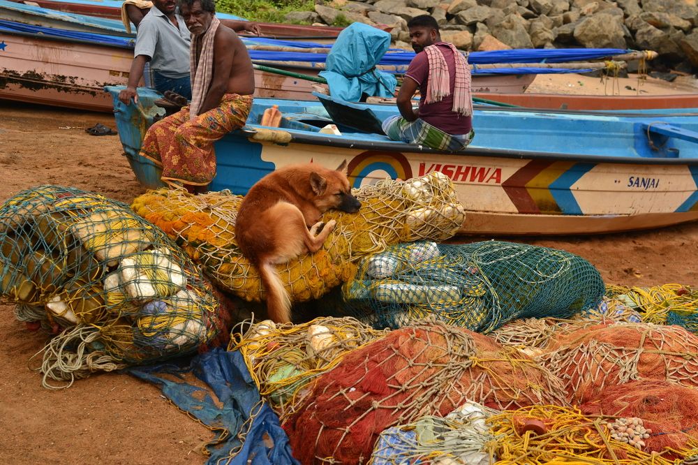 Photograph by Ольга Садохова