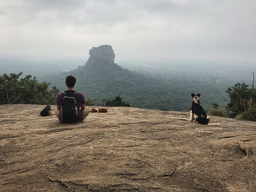 Photograph by Дудников Александр