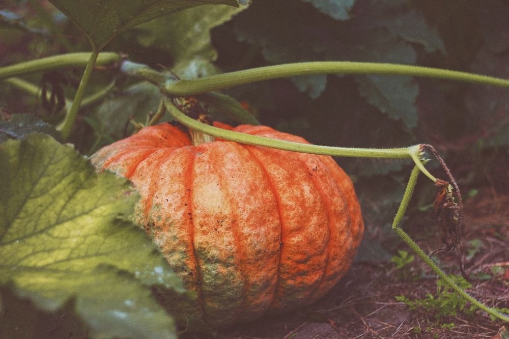 Photograph by Liudmila Pilets