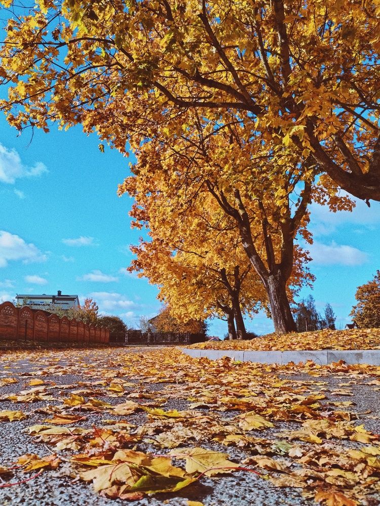 Photograph by Liudmila Pilets